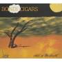 Bondi Cigars - Child In The Desert