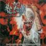 Belfegor -The Work Of Destruction - The Work Of Destruction
