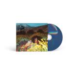 Brittany Howard - What Now