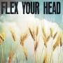 Various - Flex Your Head-A DC Sampler