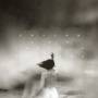 Foscor - Les Irreals Visions (2LP Gatefold,Black)