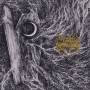 Woods Of Desolation - Sorh (grey Vinyl) (reissue)