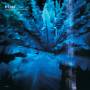 Hum - Downward Is Heavenward (Remastered 180g 2LP)