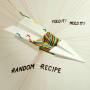 Random Recipe - Fold It! Mold It! (vinyl)