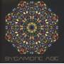 Sycamore Age - Sycamore Age