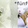 Skom - Funf