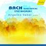 A. Nebel - Bach Transcriptions: Opus Magnum 1 *s