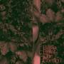 Basia Bulat - The Garden (Gatefold 2LP+DL)