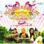 Summerbreeze Festival / Various - Summerbreeze Festival / Various