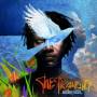 Baaba Maal - The Traveller (LP+MP3)