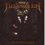Flesh Made Sin - The Aftermath Of Amen