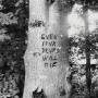 Richard Swift - Even Your Drums will die: Live at Pendarvis Farm 2