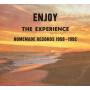 V / A - Enjoy The Experience: Homemade Records 1958-1992