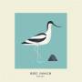 Bert Jansch - Avocet (expanded Anniversary Edition)