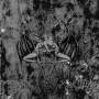 Malhkebre - Prostration