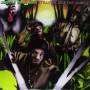 Jungle Brothers - Straight Out The Jungle