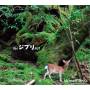 Daishi Dance - Ghibli Set