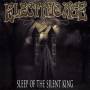 Electric Age - Sleep Of The Silent King