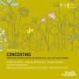 Seel / Siessl / Orchester Der Akademie St.Blasien - Concertino-Virtuoses von Netzer,Schgraffer,Go
