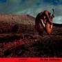 Ellegarden - My Own Destruction