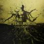 After The Burial - RAREFORM (LP)