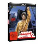 Karate Warrior - KARATE WARRIOR 2 - HD-Premiere! [DE-Version, Regio 2/B]