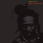 Mr Raoul K - African Paradigm (2LP+MP3)