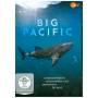 Big Pacific - Big Pacific [DE-Version, Regio 2/B]