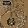 Photon Band - Back Down To Earth