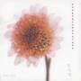 Yoo Jaeha Music Concours - 10th Anniversary Album