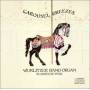 Wurlitzer Band Organ - Carousel Breezes: Seabreeze Park