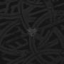 Bible Black Tyrant - Encased In Iron