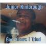 Junior Kimbrough - God Knows I Tried