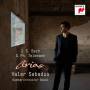 KO Basel / Valer Sabadus / Julia Schrder - Bach & Telemann: Arias