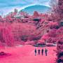 Zolas - Swooner (Cardboard Sleeve)