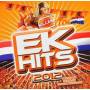 Ek Hits 2012 - Ek Hits 2012