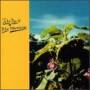 John Davis - BLUE MOUNTAINS