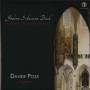 Davide Pozzi - Concerto alla maniera italiana