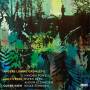 Anders Lonne Gronseth / Multiverse - Outer View