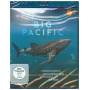 Big Pacific - Big Pacific [DE-Version, Regio 2/B]