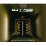 DJ T-Rob - Intoxication (Radio Edit)