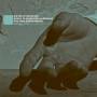 Dietrich Henschel / Phillipe Herreweghe / Royal - Irrsal [Regio free (0)]