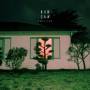 Dan San - Shelter