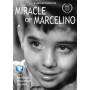 Miracle Of Marcelino / (spec) - Miracle Of Marcelino [Regio free (0)]