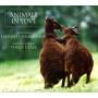 Michael Riesman / + - Animals in Love