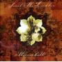 Mclachlan Sarah - Mirrorball