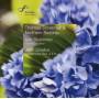 Thomas Zehetmair / Northern Sinfonia - VIOLIN CONCERTO/SYMPHONY NO.6