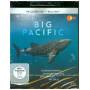 Big Pacific - Big Pacific [DE-Version, Regio 2/B]