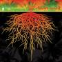 V / A - The Best Of Deep Root