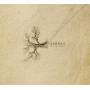 Mount Meru - Arbres
